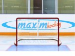Имитатор - хоккейные ворота Т-770 - магазин СпортДоставка. Спортивные товары интернет магазин в Волгограде 